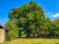 Kuća — Donja Trnava — fotografija 5