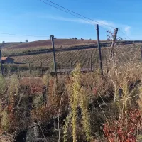 Plac — Crvena Reka — fotografija 23