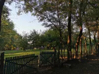 Plac — Grivac — fotografija 4