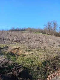 Plac — Žunje — fotografija 1
