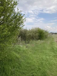 Plac — Vrtište — fotografija 5