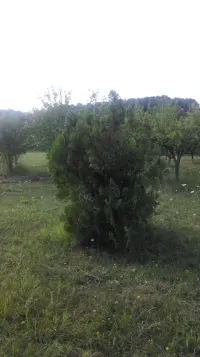 Plac — Žunje — fotografija 9