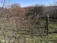 Kuća — Osladić — fotografija 18