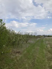 Plac — Vrtište — fotografija 4
