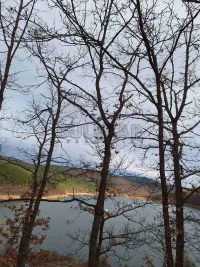 Plac — Zavojsko Jezero — fotografija 2