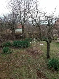 Plac — Dračka — fotografija 3