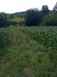 Plac — Malo Krčmare — fotografija 2