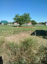 Plac — Patrijarha Dimitrija — fotografija 3