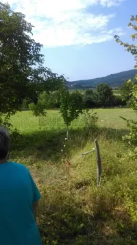 Plac — Žunje — fotografija 8