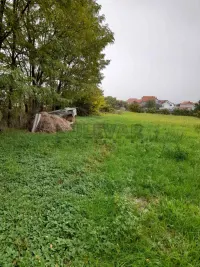 Plac — Lipnička — fotografija 4