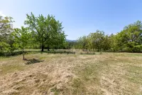 Kuća — Donje Vlase — fotografija 2