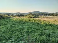Plac — Žunje — fotografija 5