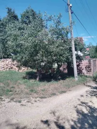 Plac — Gabrovački put — fotografija 2