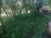 Kuća — Milorada Pešića — fotografija 20
