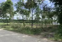 Plac — Guncati — fotografija 2