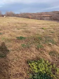 Plac — Veliko Krčmare — fotografija 7