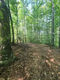 Plac — Olomljenica — fotografija 8