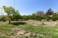 Kuća — Donje Vlase — fotografija 4