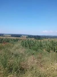 Plac — Donja Rača — fotografija 2