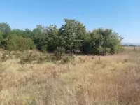 Plac — Novo selo — fotografija 6