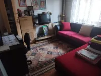 Kuća — Vojvode Mišića — fotografija 8
