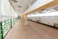 Poslovni prostor — Obrenovićeva — fotografija 3