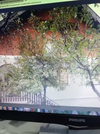 Više od tri spavaće sobe stan — Gudurički put — fotografija 1