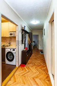 Dvoiposoban stan — Generala Milojka Lešjanina — fotografija 6