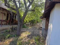 Kuća — Veliki Drenovac — fotografija 4