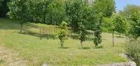 Kuća — Sićevo — fotografija 7