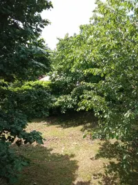 Kuća — Boračka — fotografija 10