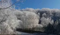 Kuća — Niška Banja — fotografija 8