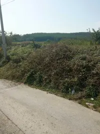 Plac — Kraljevačkog bataljona — fotografija 1