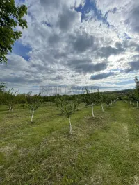 Kuća — Matejevački put — fotografija 11