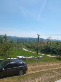 Kuća — Guberevac — fotografija 6