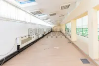 Poslovni prostor — Obrenovićeva — fotografija 1