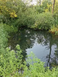 Plac — Grivac — fotografija 12