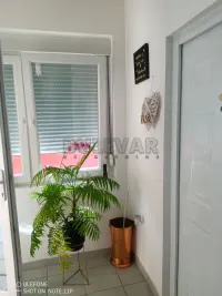 Garsonjera - Studio stan — Vranjanska — fotografija 15