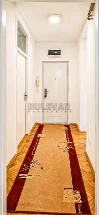 Jednoiposoban stan — Knjaževačka — fotografija 13