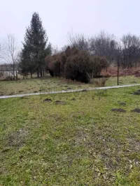 Poslovni prostor — Batočina — fotografija 22
