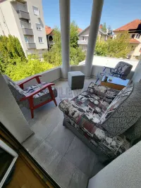 Kuća — Ruža — fotografija 23