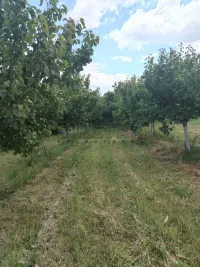 Kuća — Pajsijević — fotografija 10