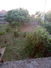 Plac — Borci — fotografija 13