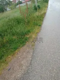 Plac — Lipnička — fotografija 3