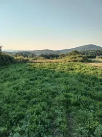 Plac — Žunje — fotografija 4