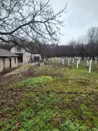 Plac — Levačka — fotografija 1