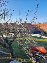Kuća — 19. oktobra — fotografija 4