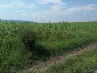 Plac — Toponički put — fotografija 2