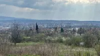 Plac — Vinik — fotografija 1