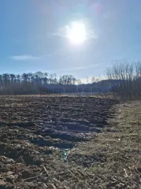 Plac — Jelašnica — fotografija 2